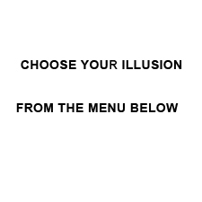 illusionPics
